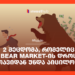 2 შეცდომა, რომელიც Bear Market-ის დროს თავიდან უნდა აიცილოთ
