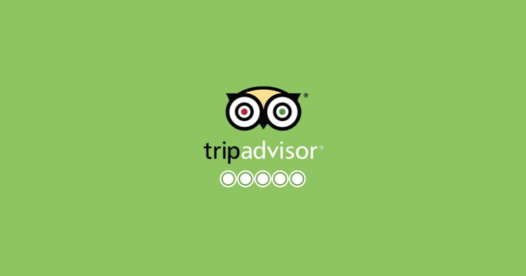 რატომ შემცირდა გუშინ Tripadvisor-ის აქციების ფასი?