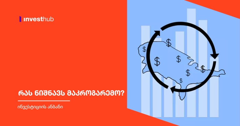 რას ნიშნავს მაკროგარემო?