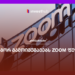 როგორ გამოიმუშავებს Zoom ფულს?